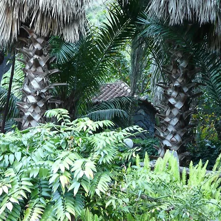Farm stay Casas Da Terca *