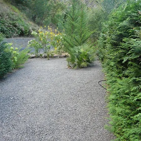 Farma Casas Da Terca Ribeira Brava