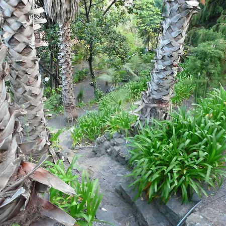 Farma Casas Da Terca Ribeira Brava