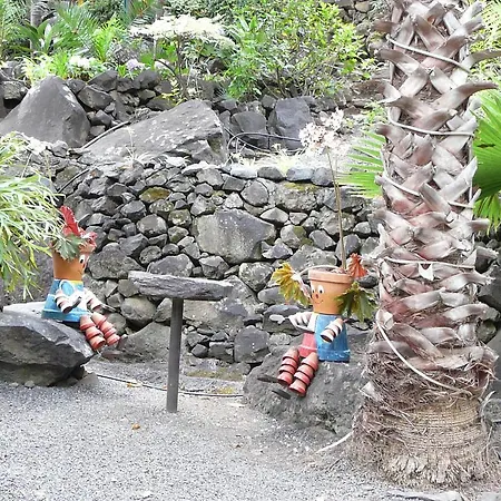 Casas Da Terca Farm stay Ribeira Brava